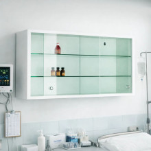 Závesná skriňa s presklenými dverami, WALLCAB M 500/1000/250 9003, ilustračná foto