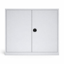 DOCUCAB H 1000/1200/420 GY | Archivační skříň se 2 policemi