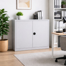 Archivačná skriňa s 2 policami, DOCUCAB H 1000/1200/420 GY, ilustračná foto