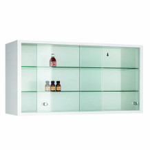WALLCAB M 500/1000/250 9003 | Závěsná skříň s prosklenými dveřmi